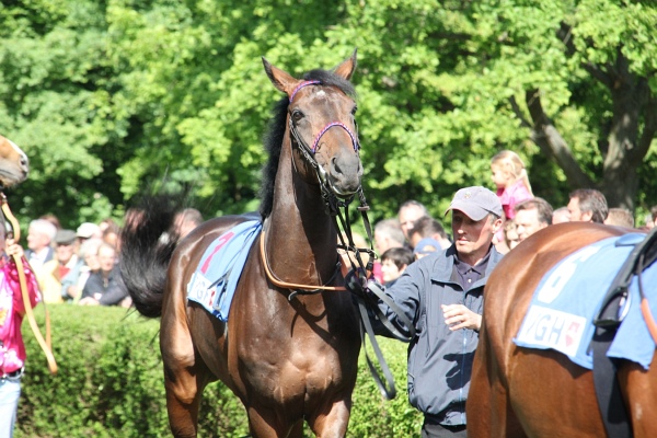 Bult VGH2011   100.jpg